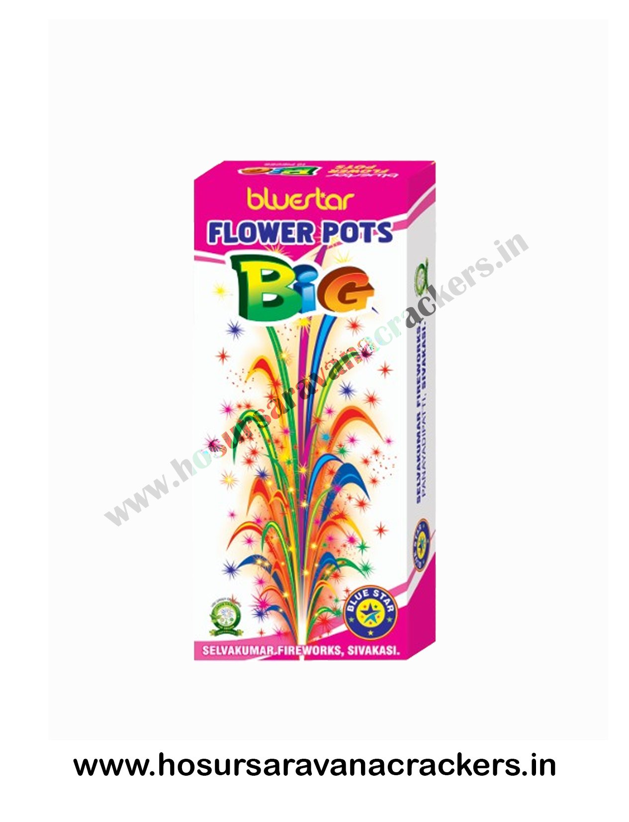 flower pots big bluestar