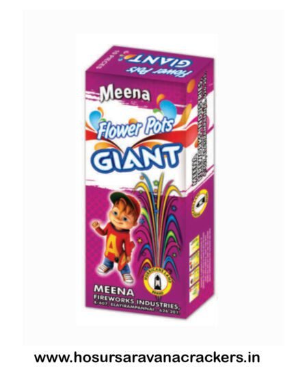 Flower pots  Giant (10pcs) Meena