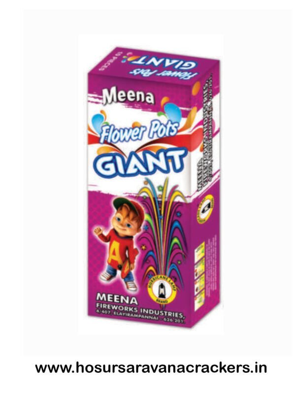 Flower pots  Giant (10pcs) Meena